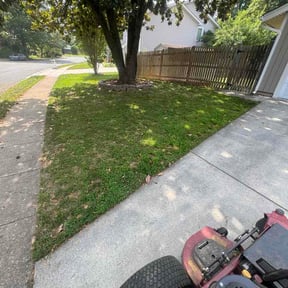 Leaf Removal by Gs lawn care reviewed on September 1, 2026