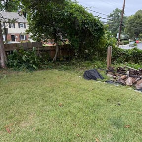 Bush Trimming by Phillip Landscape reviewed on October 21, 2025