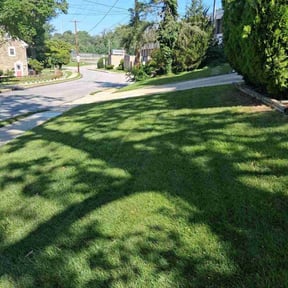 lawn service by USA Lawncare Inc reviewed on August 17, 2025