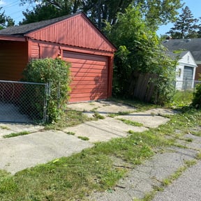 Bush Trimming by B&B Landscaping and Hauling reviewed on August 20, 2025