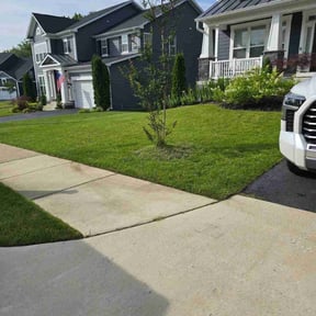 residential landscaping by PrecisionServices L.L.C reviewed on August 20, 2025