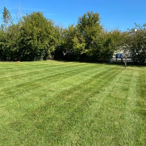 Bush Trimming by To The Rescue Landscaping and Hurricane Clean Up reviewed on March 18, 2022