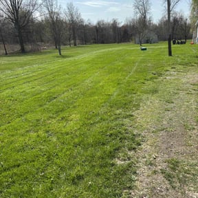 lawn service by Lawn Care reviewed on April 17, 2024