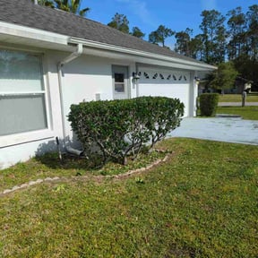 Bush Trimming by Chuyin's Lawn Care LLC reviewed on August 20, 2025