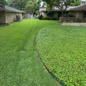 Flower Bed Weeding by TNT lawn care reviewed on April 24, 2026