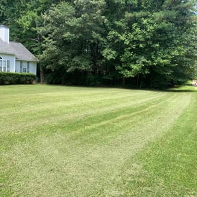 landscape maintenance by No "mow" problems reviewed on August 15, 2025