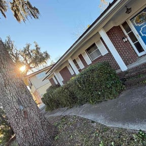 Bush Trimming by Alex &amp; Son's Landscaping Services reviewed on January 22, 2026