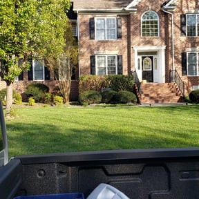 Bush Trimming by Best Price In Lawn Care reviewed on August 19, 2025