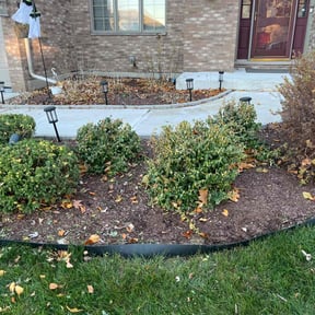 Bush Trimming by Quality Lawn Care reviewed on November 18, 2025