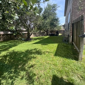 yard service by All Trim Lawn Services, Inc. reviewed on August 16, 2025