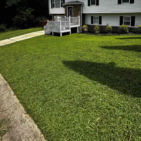 residential landscaping by Cooley's lawn care reviewed on August 16, 2025