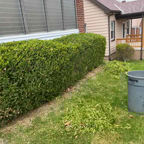 Bush Trimming by LISKO LAWNCARE AND TRASH REMOVAL LLC reviewed on August 16, 2025