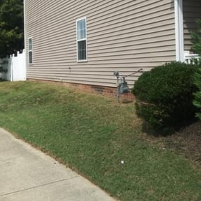Bush Trimming by Escobar Landscaping reviewed on August 20, 2025