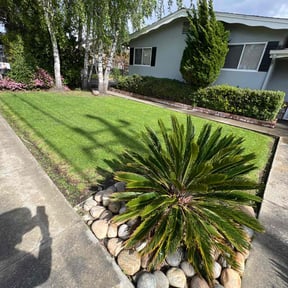 landscaping by SM Lawn Care reviewed on August 15, 2025