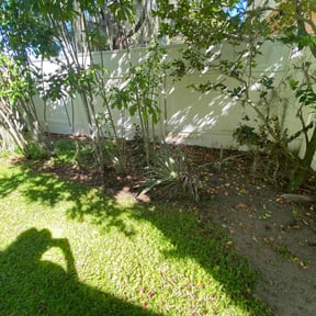 Leaf Removal by Annie’s Lawn Service reviewed on September 17, 2025