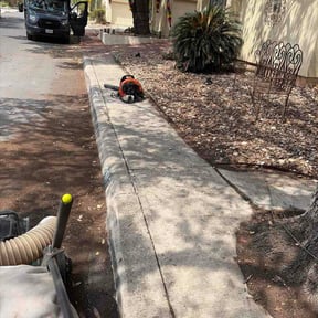 Leaf Removal by Casa Verde Customs reviewed on May 15, 2026