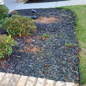 Flower Bed Weeding by 3GUYSLAWNCARE reviewed on August 16, 2025