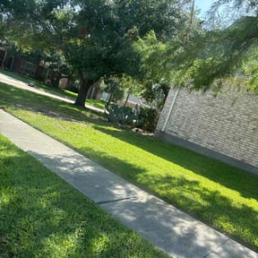 grass maintenance by ClearCoast Lawn Solutions reviewed on March 20, 2024