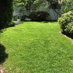 turf care by Martin LLC reviewed on August 21, 2025