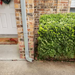 Bush Trimming by A cut above reviewed on August 14, 2025