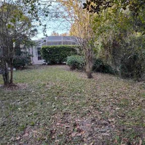 Bush Trimming by Full throttle lawn care reviewed on August 16, 2025