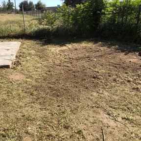 Leaf Removal by Michelangelo&#039;s reviewed on September 9, 2025