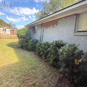 Bush Trimming by Mow &amp; Go reviewed on November 5, 2025