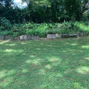 Flower Bed Weeding by GG landscape reviewed on August 21, 2025