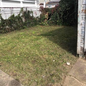 Leaf Removal by Vibrant Lawns reviewed on October 23, 2025