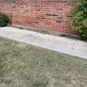 Flower Bed Weeding by Trim De Busche reviewed on April 28, 2024