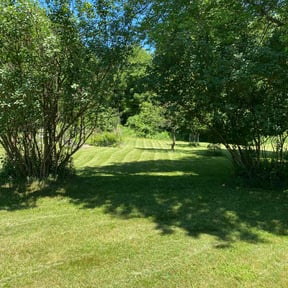residential landscaping by Chows lawn service reviewed on August 19, 2025