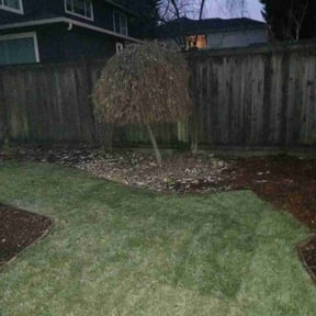 Bush Trimming by Carolina dogwood lawn care and landscaping reviewed on August 21, 2025