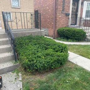 Bush Trimming by Flipmodedreadhead reviewed on June 8, 2026