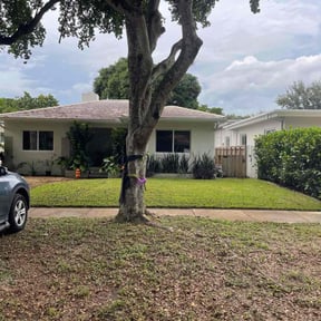 lawn care by Hernandez Lawn Care reviewed on April 12, 2025