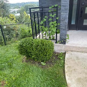 lawn care services by Strike Force (Main) reviewed on November 9, 2017