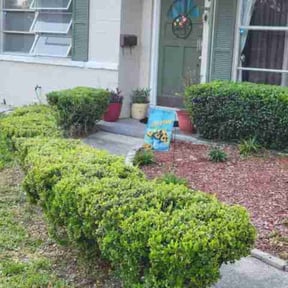 Bush Trimming by B and B Landscaping reviewed on August 21, 2025