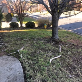 Leaf Removal by Superior Landscape &amp; Maintenance, Inc. reviewed on September 15, 2025