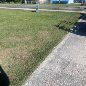 grass maintenance by Colt&#039;s cuts reviewed on April 13, 2024