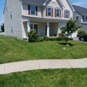 yard care by GreenCut Lawn Care reviewed on November 28, 2025