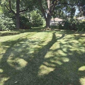 yard maintenance by Carranza Landscape reviewed on August 19, 2025