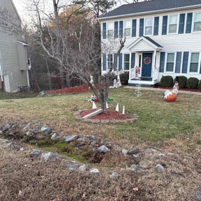 Leaf Removal by OnlyMowers.com reviewed on December 4, 2025