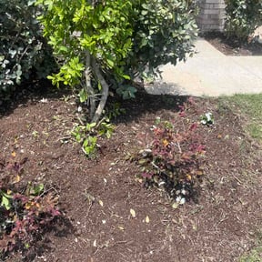 Flower Bed Weeding by KBK &amp; ASSOCIATES LLC reviewed on May 14, 2026