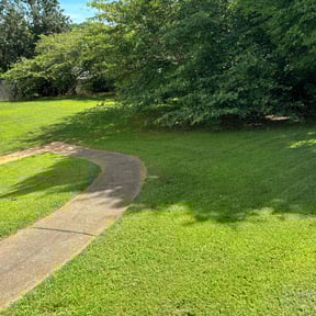 turf care by Jay's Lawn Services reviewed on June 2, 2025