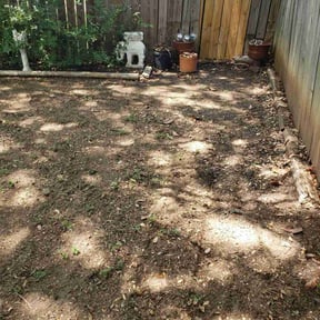 Leaf Removal by Mow-Mentous Lawn Service reviewed on September 19, 2025