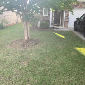 landscape maintenance by Compassion Lawn Care reviewed on August 15, 2025