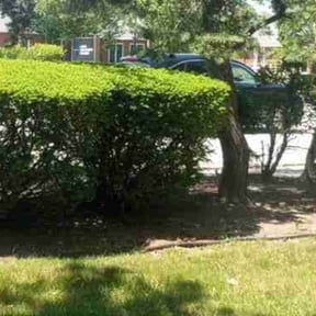 Bush Trimming by Shield Hygienic Services llc reviewed on August 16, 2025
