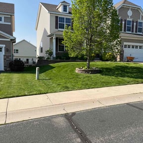 yard service by Eminence Services LLC reviewed on October 8, 2024