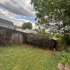 Bush Trimming by Green cuts lawn service reviewed on December 15, 2025