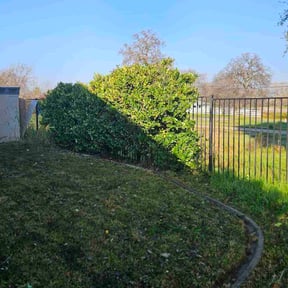 Bush Trimming by A Cut Above reviewed on January 19, 2026