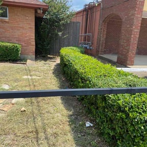 Bush Trimming by Blessed Hands reviewed on November 8, 2025